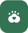 Pet Day Care