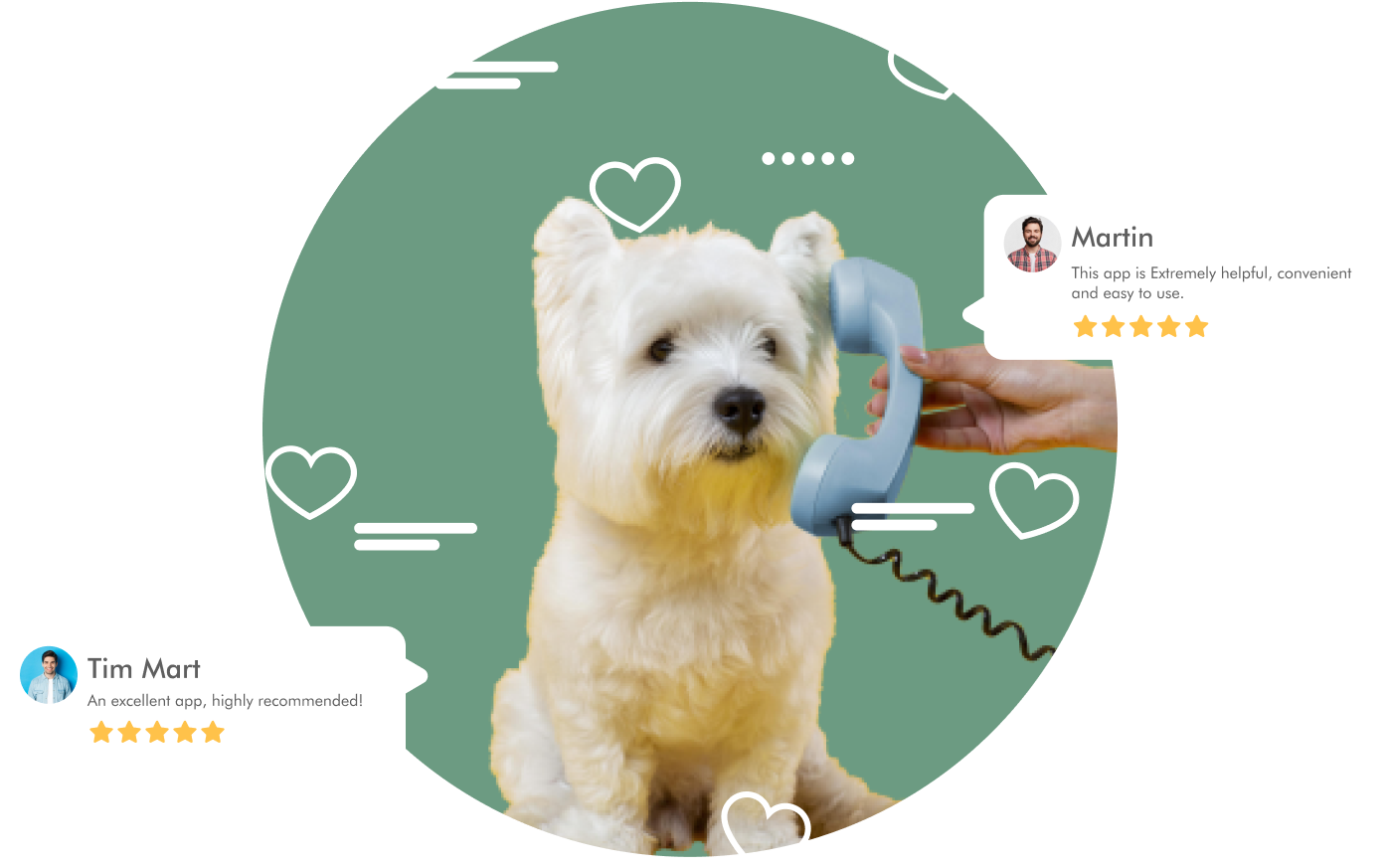 Happy dog with 5-star customer testimonials