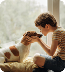 Safety First - Vetted and insured pet sitters